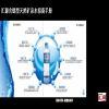 点击放大