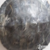 Ŵ