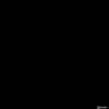 Ŵ