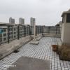 点击放大